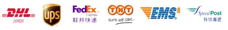 國際快遞公司
