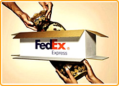聯(lián)邦快遞 Fedex